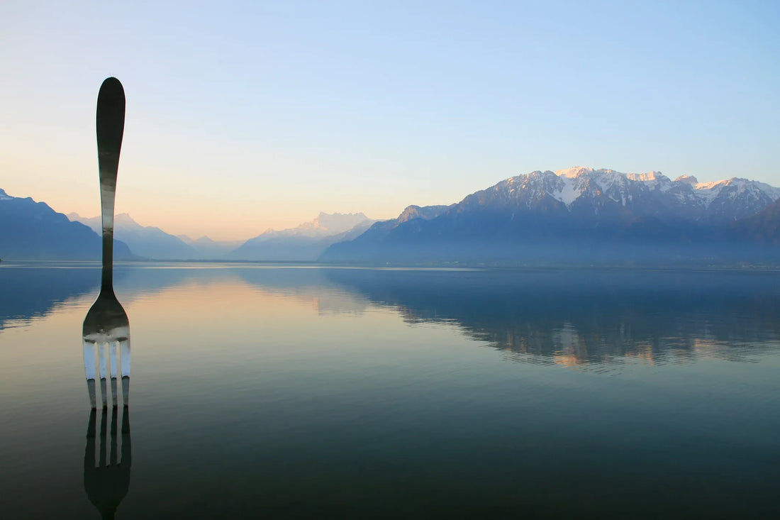 Large fork standing in calm water with mountains behind.