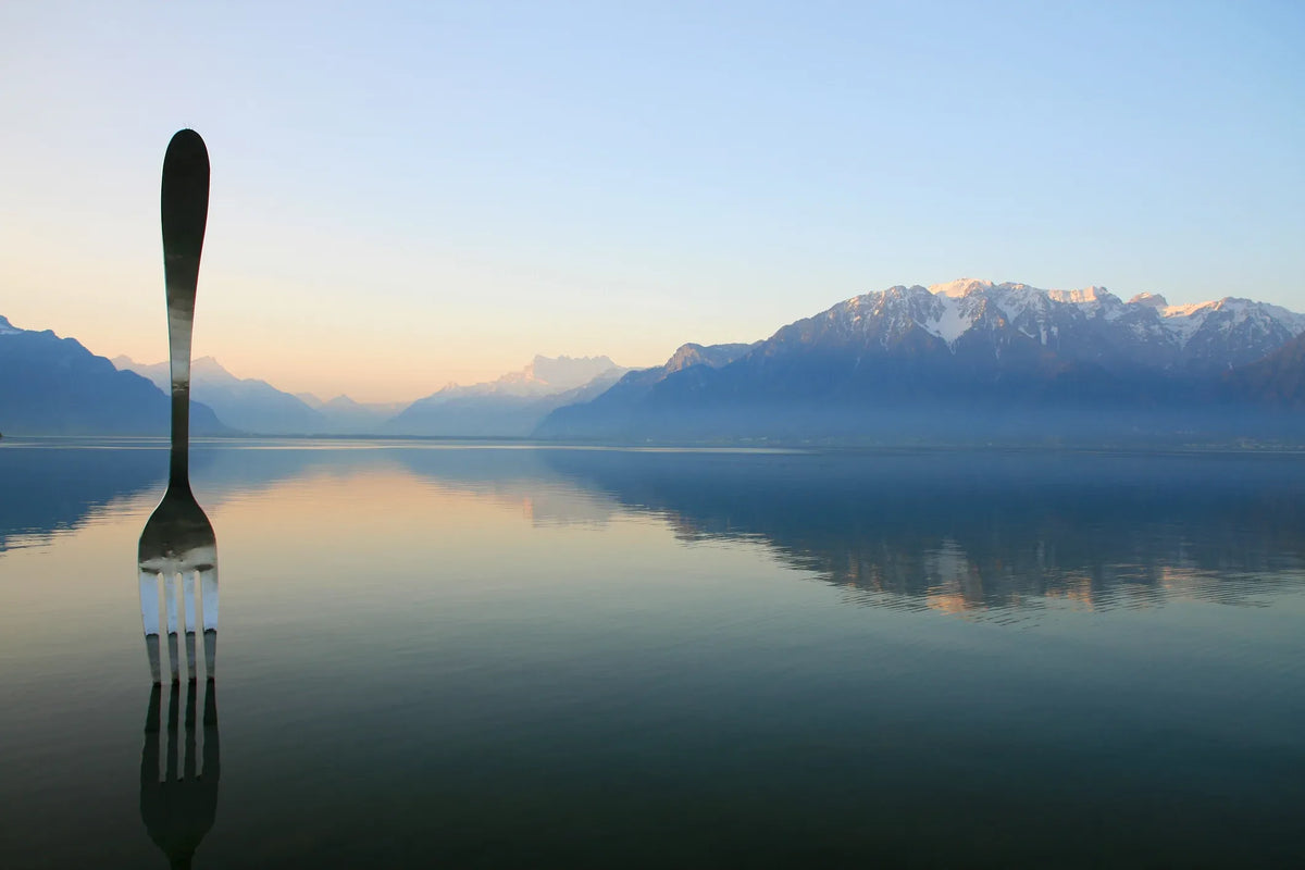 Large fork standing in calm water with mountains behind.